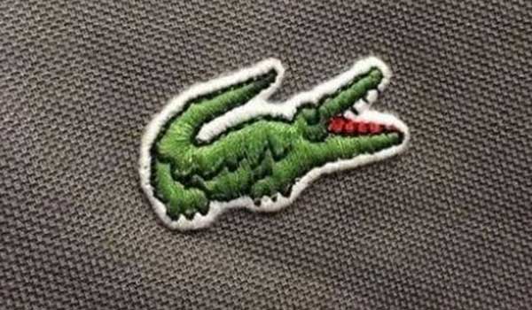 LACOSTE 真假