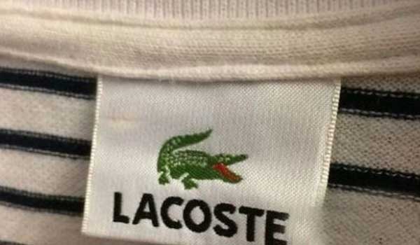 LACOSTE 真假