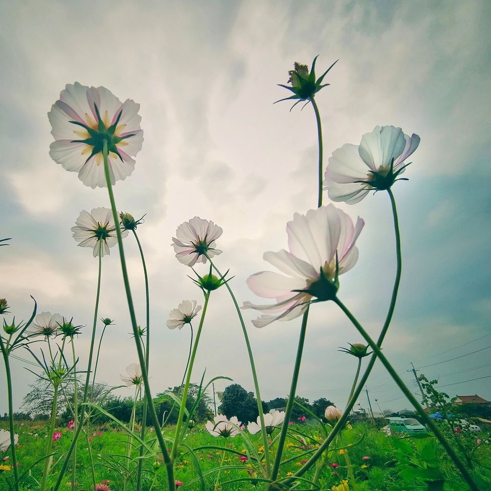 一个人怎麽用手机拍美照？3个重点、6种腹图，到此一游照变质感好照_img_2