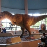 【台中】长知识的自然科学博物馆·来看恐龙了