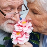 一輩子的承諾 老婆婆靜靜地睡著了