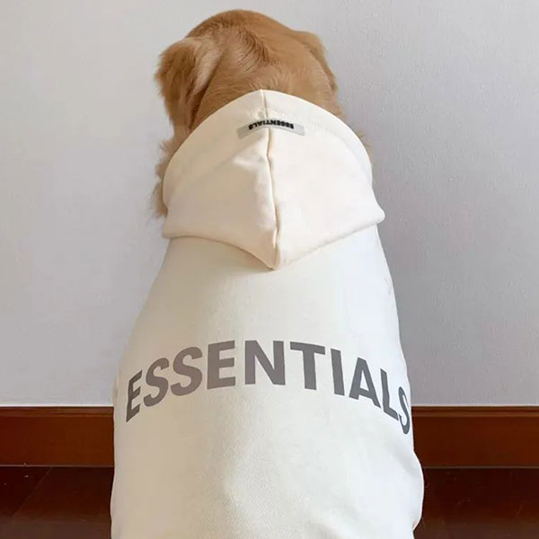 高街潮人的信仰 FOG 支線 ESSENTIALS