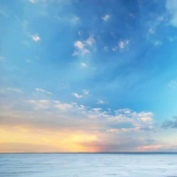 徵求金光、霹靂、天宇、巨登、王者布袋戲錄影帶